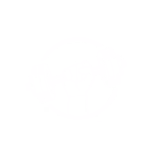 Logo Space Fitness